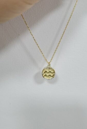 Golden Pendant Necklace S925 Silver Zodiac Sign photo review