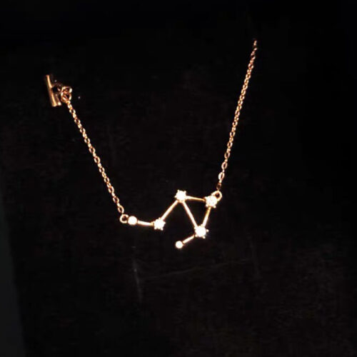 Zodiac Necklace 925 Silver with Zircon photo review