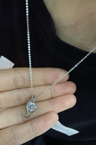 Custom Name Necklace 925 Silver Zodiac Sign photo review
